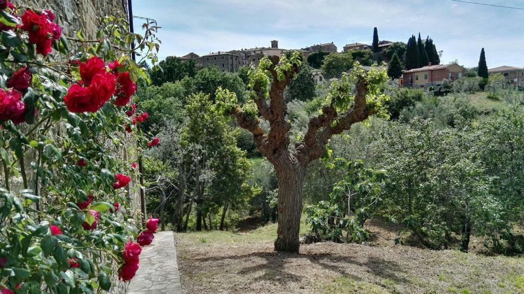 Colombaio In Colle Bed & Breakfast Sant'Angelo in Colle Luaran gambar