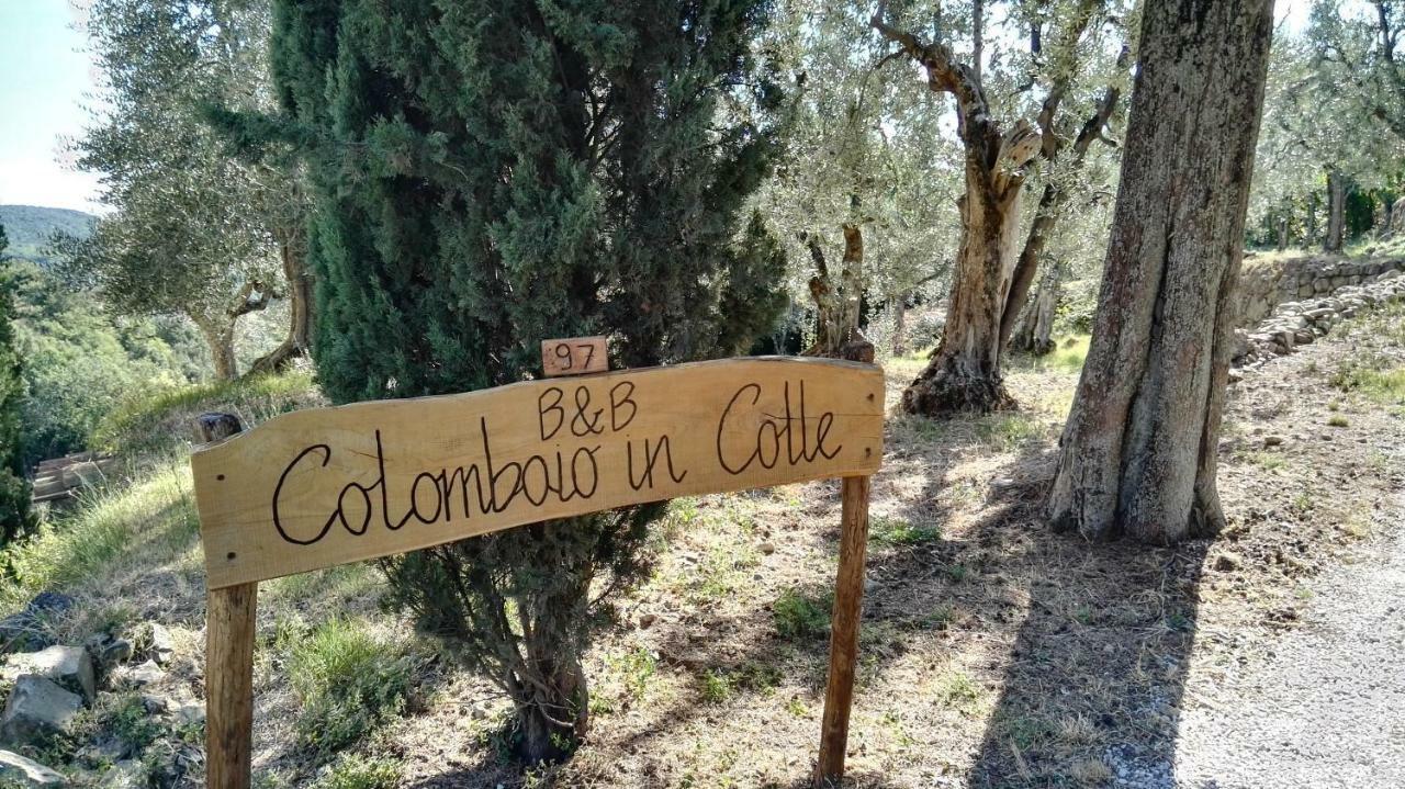 Colombaio In Colle Bed & Breakfast Sant'Angelo in Colle Luaran gambar