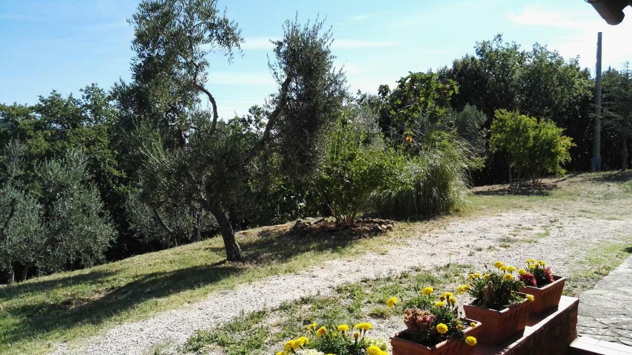 Colombaio In Colle Bed & Breakfast Sant'Angelo in Colle Luaran gambar